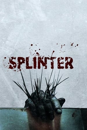 Poster Splinter 2008