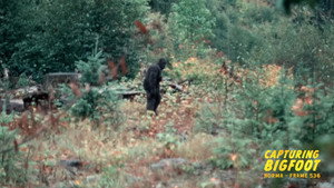 Capturing Bigfoot 1