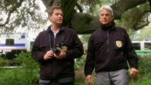 NCIS: 8×19