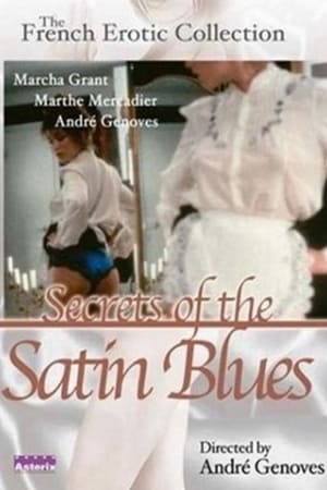 Poster Secrets of the Satin Blues 1981