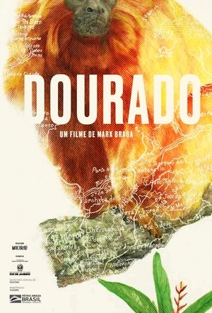 Nonton film Dourado (2022) terbaru sub indo Nonton film Dourado (2022) terbaru sub indo
