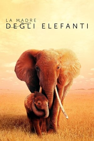 Image La madre degli elefanti