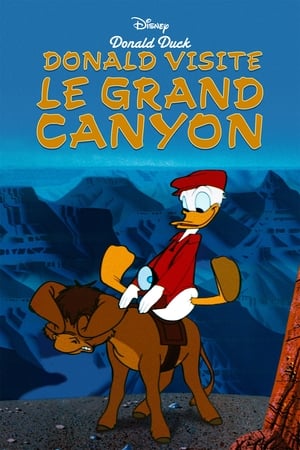 Poster Donald visite le Grand Canyon 1954