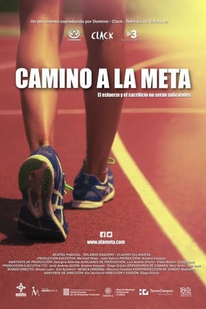 Poster Camino a la meta (2013)