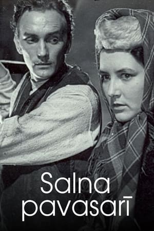 Poster Salna pavasarī 1955