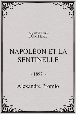 Image Napoléon et la sentinelle