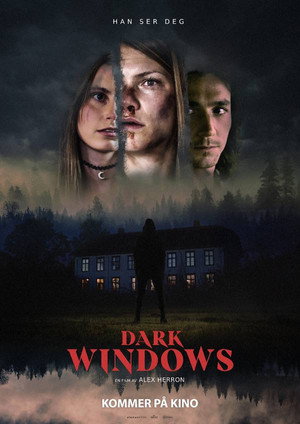 Dark Windows 19