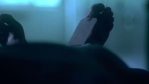 Épisode 6