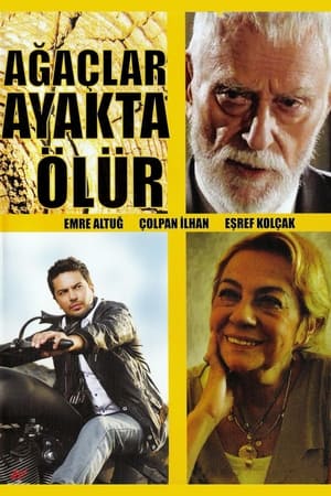 Poster Ağaçlar Ayakta Ölür (2000)