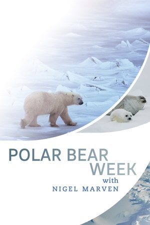 Poster Polar Bear Week with Nigel Marven 2007