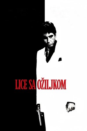 Image Лице са ожиљком