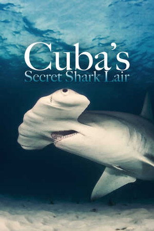 Cuba's Secret Shark Lair