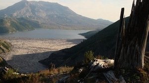 Image Mt. St. Helens Back From the Dead