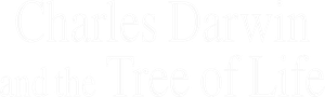 Charles Darwin e a Árvore da Vida — Logos 2