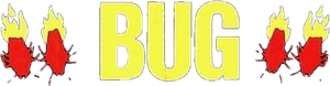 Bug