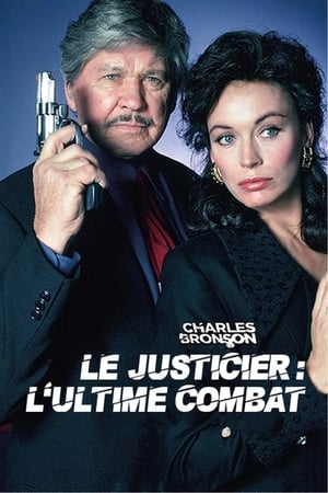 Poster Le justicier : L'ultime combat 1994