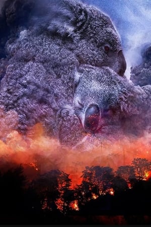 Poster Wild Australia: After the Fires (2020)