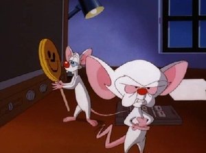 Pinky & der Brain: 3×15