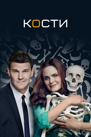 Poster Кости Сезон 12 Разум в роботе 2017