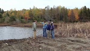 The Curse of Oak Island A Look Ahead