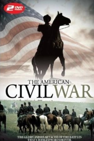 Poster The American Civil War 2011