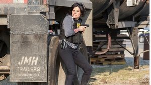 Blindspot 1×6