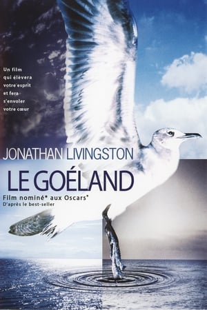 Image Jonathan Livingston le goéland