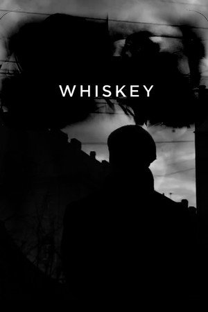 Whiskey 17