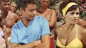 A Swingin' Summer film complet