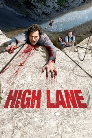 Poster High Lane 2009