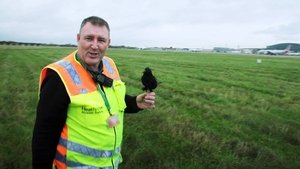 Britain's Busiest Airport: Heathrow Episode 10