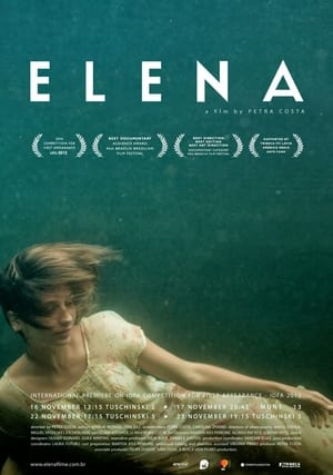 Poster Elena (2013)