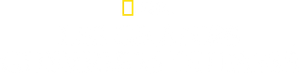 Back from the Dead — Logos 4