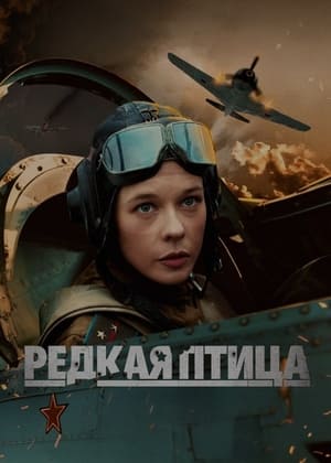 Image Редкая птица