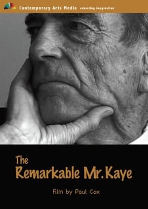 Image The Remarkable Mr. Kaye