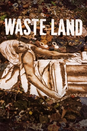 Poster Waste Land (2010)