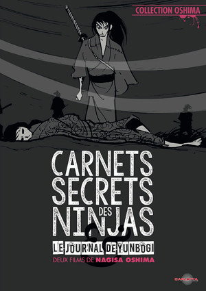 Image Carnets secrets des ninjas