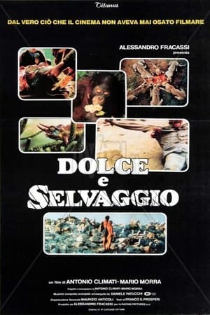 Poster Dolce e selvaggio 1983