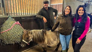 Celebrity Escape to the Country: 2×2