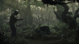 Images posters