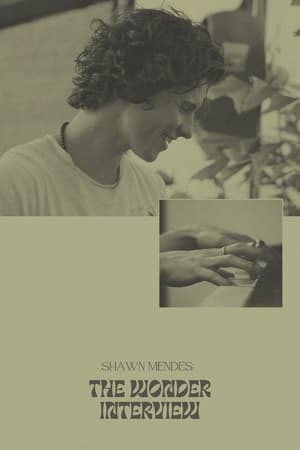 Poster Shawn Mendes: The Wonder Interview 2020