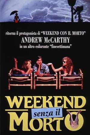 Poster Weekend senza il morto 1992