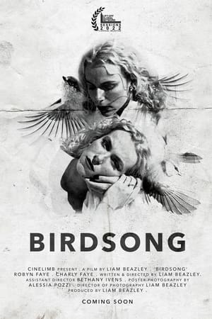 Poster Birdsong (2022)