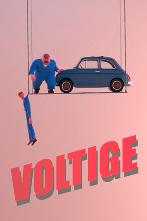 Voltige