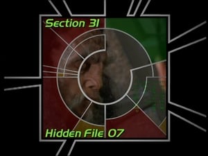 Image Section 31: Hidden File 07 (S02)