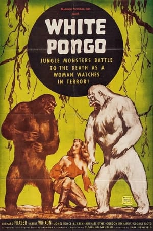 Poster White Pongo 1945