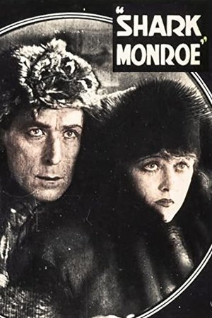 Poster Shark Monroe 1918