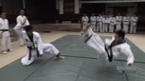 Fight Quest Korea (Hapkido)