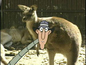 Miniature Épisode 24 : Australie et Floride