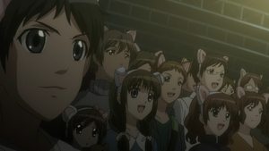 Cat Planet Cuties Season 1 Episode 4
